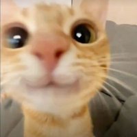 Eros (@yuush1n_) 's Twitter Profile