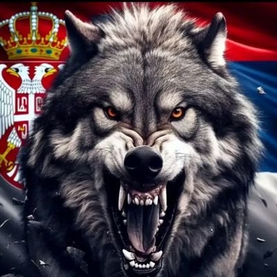 goran_vukobrat's profile picture. 