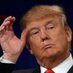Donald Trump 🇺🇸 ᶠᵃᵏᵉ Profile picture