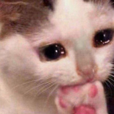 jchcsss's profile picture. 