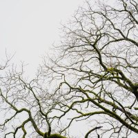 DavGnoma(π§ββοΈ,π§ββοΈ)Anomage (@mainahdavid) 's Twitter Profile