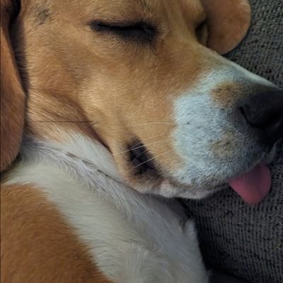 dugsnstuff's profile picture. 01
