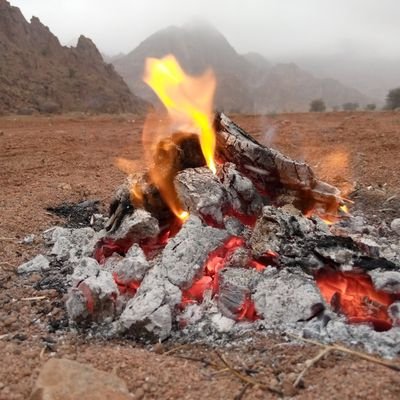 fahadalqaba's profile picture. ان شاء الله مع القليله الناجيه