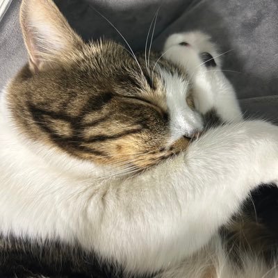 TV7wHvGh0a38991's profile picture. R7航大🌸