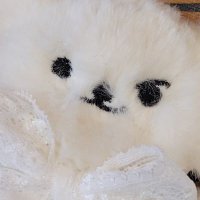ꜱᴇɪᴏ.ᴢɪᴘ (@seio_zip) 's Twitter Profile Photo