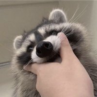 Sechen (@daethernetcable) 's Twitter Profile