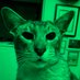 Mokey (@mrmokeycat) Twitter profile photo Mokey (@mrmokeycat) Twitter profile photo