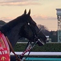 タラサン・ブラック (@tarakovsky63) 's Twitter Profile