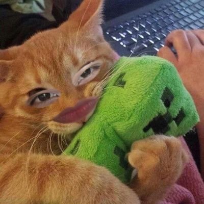 bxallxna's profile picture. lost & afraid