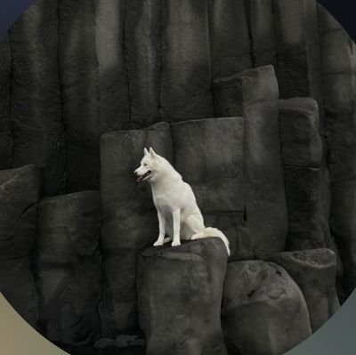 Miqaelbravo's profile picture. @fizenapp / Fizen Refferal Code :Miqaelbravo
Fizen Super App: https://t.co/Okiv919kF2
#AVAX #SOLANA #BTC #ETH