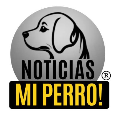 🇨🇴🇯🇵Las Noticias Como Son®️
Petrista Y Progre 100%
Unete🤝 juntos seremos mas💪
👉Siguenos
🙏🔁RT & LIKE💝
#NoticiasMiPerro