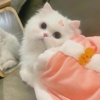 Aalone (@a01alone) 's Twitter Profile