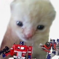 ☆ooni☆ 🚩 (@oonihatdichlieb) Twitter profile photo