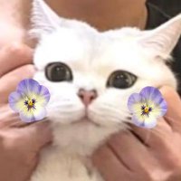 ๋ฏธ๊ฐ (@glabella_tm) 's Twitter Profile Photo ๋ฏธ๊ฐ (@glabella_tm) 's Twitter Profile Photo
