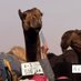 لَاْهَــزْ الـتَّـمِـيـمِـي (@altmeme12343) Twitter profile photo لَاْهَــزْ الـتَّـمِـيـمِـي (@altmeme12343) Twitter profile photo