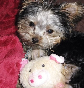 jlayne0130's profile picture. 