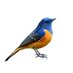 Masum (@masum_200) Twitter profile photo Masum (@masum_200) Twitter profile photo