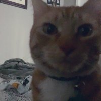 dash (@staarrdash) 's Twitter Profile