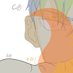 Oreo 2d animator (open for work) (@hokouseihoshi) Twitter profile photo Oreo 2d animator (open for work) (@hokouseihoshi) Twitter profile photo