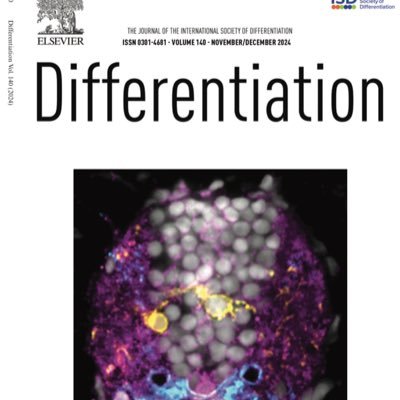 Differentiation Journal Profile