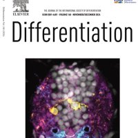 Differentiation Journal (@diff_journal) 's Twitter Profile