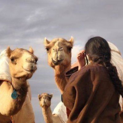 كـ شتيمه في فم تقيّ أقدر ولا أرغب .