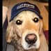 Political incorrect's dad (@polit_overlord) Twitter profile photo Political incorrect's dad (@polit_overlord) Twitter profile photo