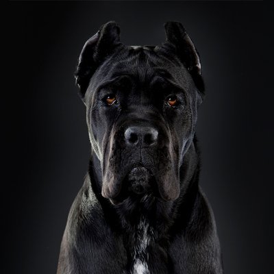 Deathstyl3's profile picture. 