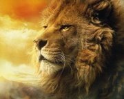 Psychic empath, near death experience,clairvoyant gifts.