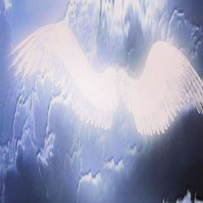 matm_03's profile picture. LOOΠΔ me hizo mejor persona.