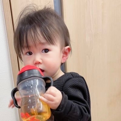 kurutonbo's profile picture. 音楽、お城神社仏閣巡り、野球観戦、お酒、麺類。乙女座B型 大型トラック乗り