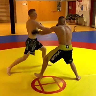 brvirks's profile picture. 