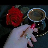 سيد سيد (@sydsyd967867) Twitter profile photo