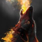 wolfbutshe's profile picture. Irish....need I say more..

Neither right nor left dont fucking label me