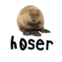 h0ser (@h0serr) 's Twitter Profile