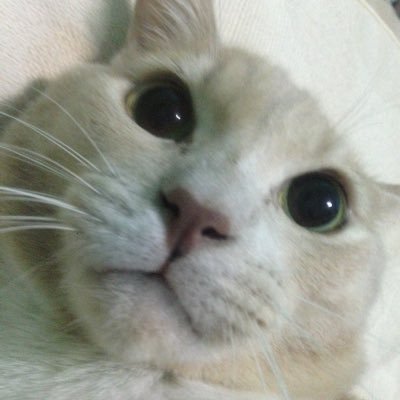 nxblita_20's profile picture. ไว้ส่งต่อและ F ของ 🌈
❤️ค่าส่งเหมา 35 บ.❤️