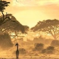 Tuğba Karakılçık (@yaztubi) Twitter profile photo