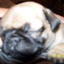 shawn schooler - @superskull1974 - Twitter