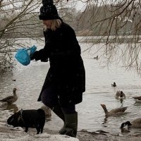 KJV ✝️🇬🇧 (@kjvbaptist193) 's Twitter Profile