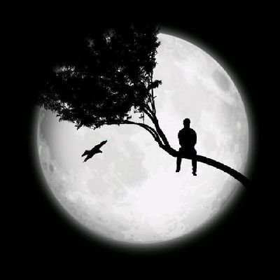 sultann5002's profile picture. خروج نهائي