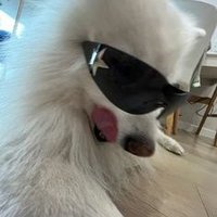 Kylx (@kylxz8) 's Twitter Profile