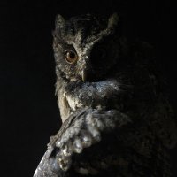 Rektified SOLdier (@stilwilliams) 's Twitter Profile