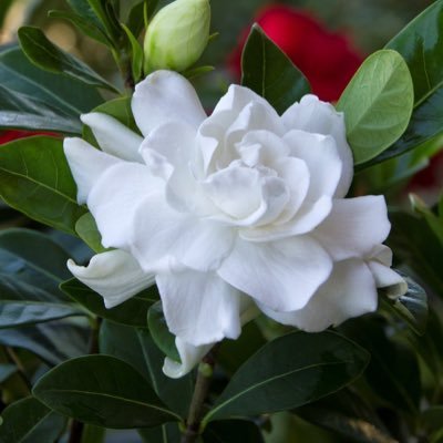 اللهم اصلح لي شأني كله٫ ولا تكلني إلى نفسي طرفة عين . مازلت وسأظل في طور صناعة الذات حتى أراني كما أتمنى، عائلتي هي الحب والجمال كله في عيني ❤️