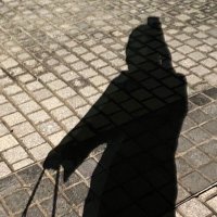 Shymaa Af🦋 (@afshymaa) 's Twitter Profile