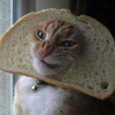 papouze94's profile picture. régulateur COGC PRG.