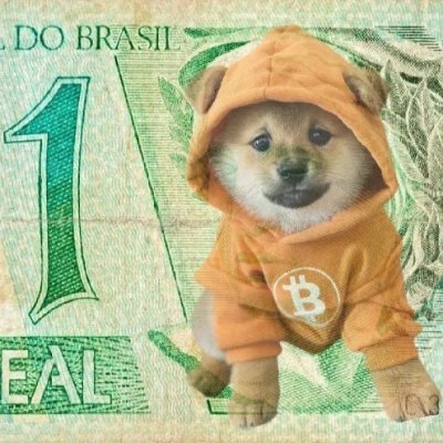 wgsousalog's profile picture. 