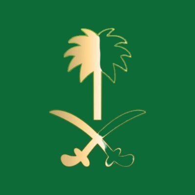 Votre veille économique sur l'Arabie Saoudite 🇸🇦 | Actualités économiques, analyses et conseils d'expatriation. 🇫🇷 🇸🇦 #Vision2030
