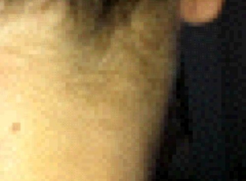 SarahOunet's profile picture. 