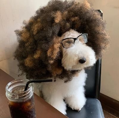 Vur4x_'s profile picture. Mitski 🪼   ¡!   🐤

FREE PALESTINE 🇵🇸