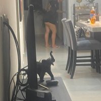 carlosv (@jcornudoxxx) 's Twitter Profile